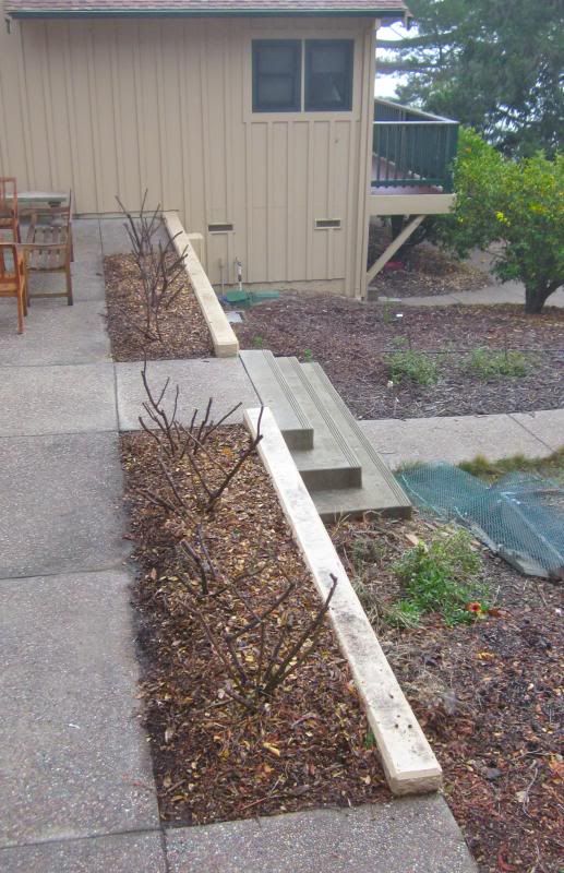  photo IMG_1106_zps6dc0395a-1.jpg